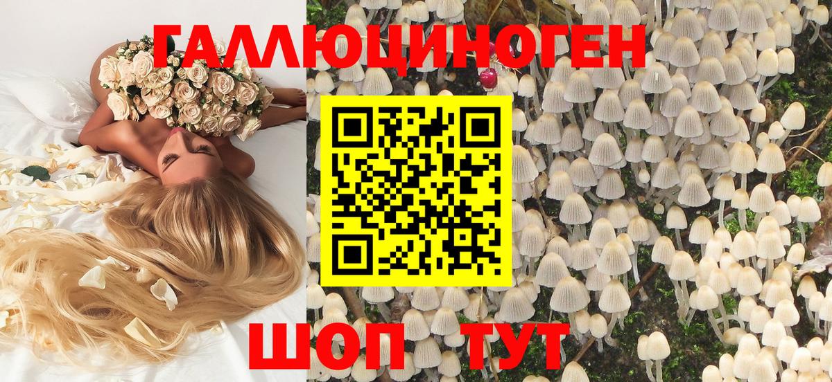 Галлюциногенные грибы мухоморы Рославль