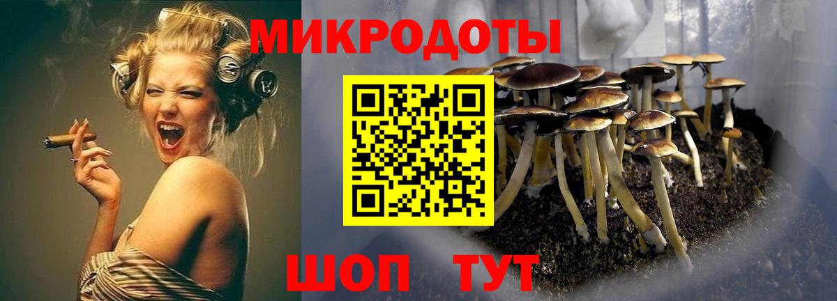 Галлюциногенные грибы MAGIC MUSHROOMS  Вход с VPN  Псилоцибиновые грибы Psilocybe  Рославль 